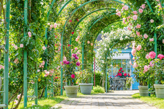 洋風庭園 の画像 1 9 件の Stock 写真 ベクターおよびビデオ Adobe Stock