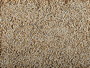 Quinoa (Chenopodium quinoa) seeds