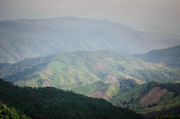 Naklejka premium view on Doi Phu Kha in Afternoon, Nan province, Thailand