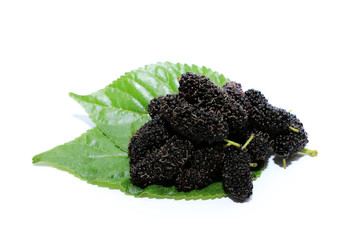 Mulberry fruit with mulberries leave closeup shot isolated in white background.