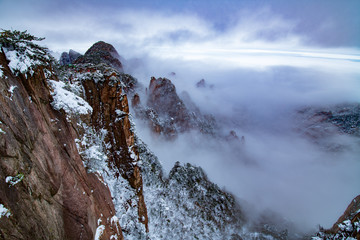 pine tree covered by snow on the mountain