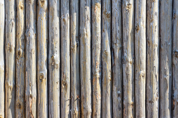 Fence of logs. Ancient fence from trunks of trees