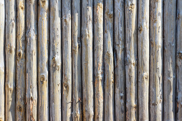 Fototapeta premium Fence of logs. Ancient fence from trunks of trees