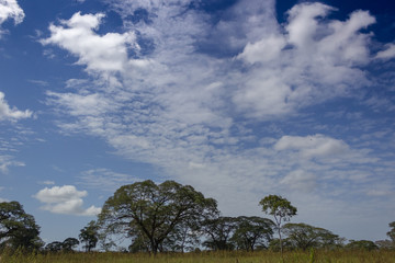 Obraz premium beautiful landscape in venezuela