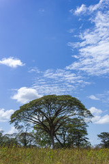 Obraz premium beautiful landscape in venezuela