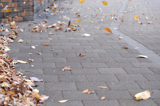 木枯らし のストック写真 ロイヤリティフリーの画像 ベクター イラスト Adobe Stock