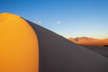 Fototapeta na wymiar sand dune line