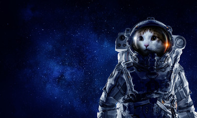 First trip to space. Mixed media