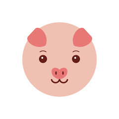 chinese happy new year sweet pig vector illustration design concept