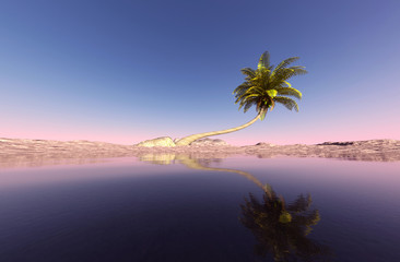 3d rendering of lonely coconut tree in seashore landscape