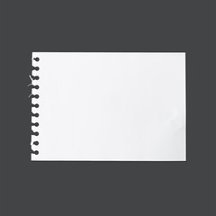 White sheet of paper texture for background with clipping path.