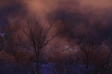 夜明けの北上川