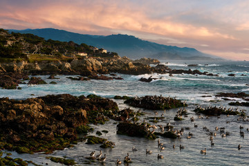 Obraz premium coast at sunset