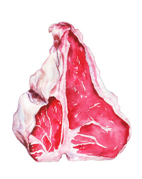 T-bone steak. Hand drawn watercolor illustration of meat isolated on a white