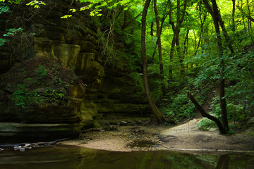 A Summer morning in the Dells under the tree canopy.  Matthiessen State Park, Illinois, USA.