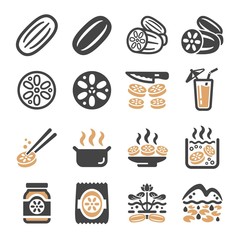 lotus root icon set,vector and illustration