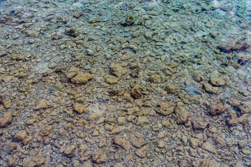 Background of the Red sea water surface and bottom