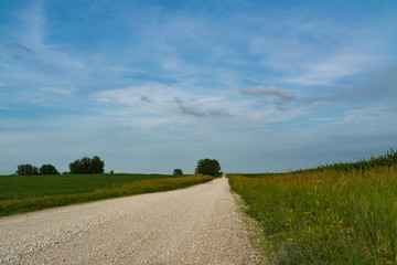 Fototapeta na wymiar Dirt country road through rural farmland in the Midwest. LaSalle County, Illinois, USA
