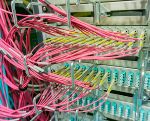 Netzwerk Switch und Netzwerkkabel in einem Rechenzentrum