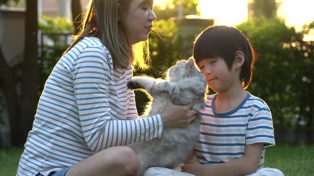 Asian mother and her son playing with persian cat in the park outdoor