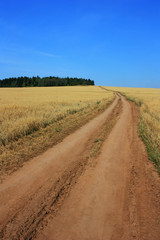 Fototapeta na wymiar Dirt country road in a field of wheat