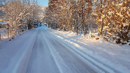 road snow trees winter ice traffic cars