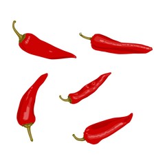 set of hot red chili peppers isolated on white