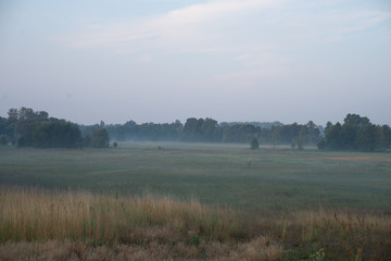   sunrise over a misty meadow in summer morning