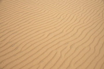 Fototapeta na wymiar sand dune on the desert, background or texture