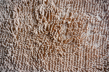 cream color hairy fur textured carpet mat wallpaper background
