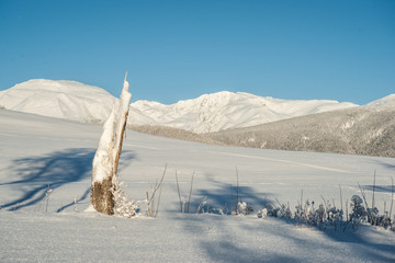 Fresh Powder in the Mountains