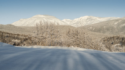 Canadian Winter White 