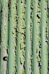 Fototapeta premium 古い緑のトタン壁