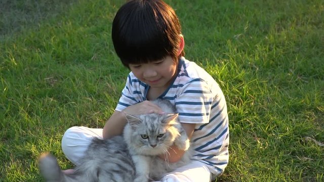 Cute Asian child playing with persian cat in the park outdoor 