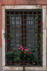 Fototapeta na wymiar Venice window with climbing flowers
