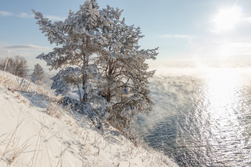 tree covered with ice and snow on the shore of the soaring lake Baikal in winter