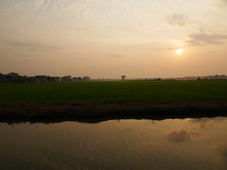 Reflections of the sun and the sky with water in cornfield and birds are living.Shooting location is Pathum Thani ,Thailand.