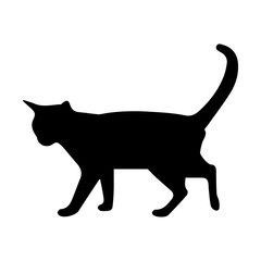 cat silhouette
