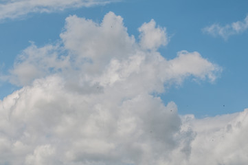 Wolke Wolken
