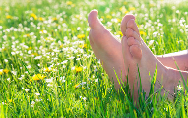 bare feet on spring grass and flowers