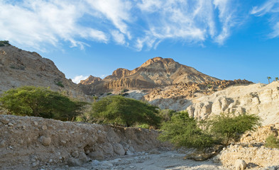 nahal wadi david near the dead sea with the ein gedi nature reserve on the left, the field school on the right and mt yishai in the background