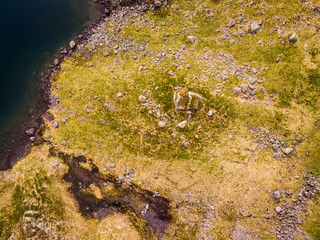 Water and rocks, view from above