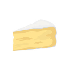 Pieces of cheese isolated on white. Camembert icon. Modern flat style detailed vector