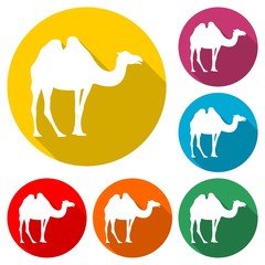 Camel icon silhouette logo, color set with long shadow