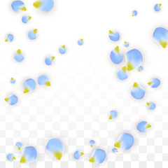 Vector Realistic Blue Petals Falling on Transparent Background.  Spring Romantic Flowers Illustration. Flying Petals. Sakura Spa Design. Blossom Confetti.