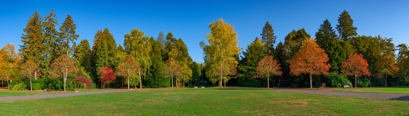 Fototapeta na wymiar Herbststimmung auf dem Hauptfriedhof in Frankfurt am Main