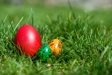 Easter background with colorful eggs over fresh green grass - copy space