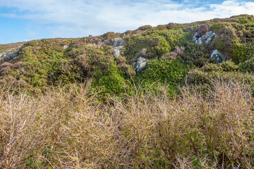 around Sky Road in Ireland