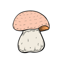 Hand drawn mushroom