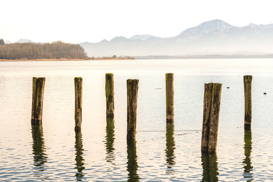 Seeufer am Chiemsee mit Holz